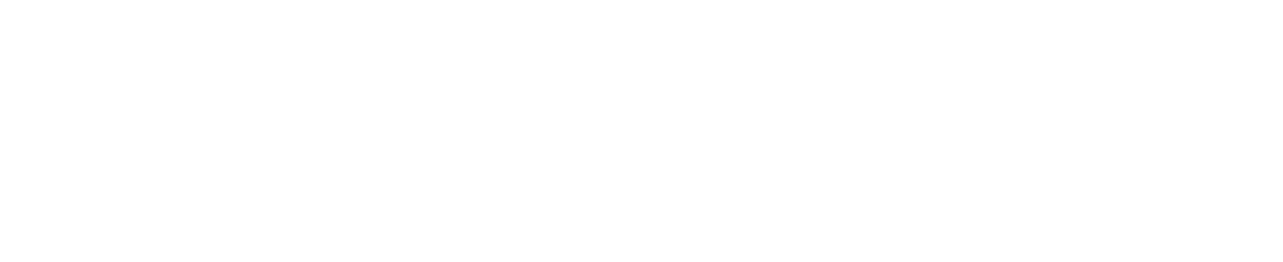 Bridging Businesses  and Skilled Professionals.